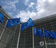 정부 "EU 역외보조금규정 이행법에 우리 의견 반영"