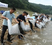 '잘 자라거라'…양구 파로호 등에 어린 뱀장어 3만2천마리 방류