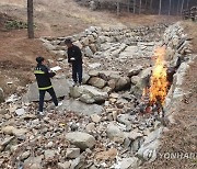 전북도, 8월 말까지 여름철 산림 불법행위 집중단속