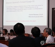 IAEA 후쿠시마 오염수 보고서 검증 민주연구원 현안긴급토론회