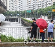 불어난 도림천 바라보는 시민들