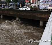 호우로 불어난 도림천