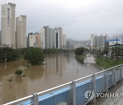 부산에 호우경보