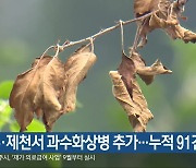 충주·제천서 과수화상병 추가…누적 91건