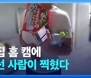 빈 집에서 감지된 수상한 움직임…아이스크림 털어간 건 ‘건물주’