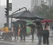 Heavy Rain Forced 33 Families to Evacuate in Seoul and Busan: Houses and Vehicles Flooded