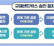 규제 샌드박스, 처리기간 대폭 단축...6개부처 법개정안 발의