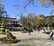 삼척시, 오는 14일 ‘자연과 조화를 이룬 죽서루’ 진행