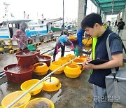 포항시, 수산물 방사능 검사 강화