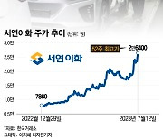 "브레이크 없이 쌩쌩 달린다"…올해만 200% 넘게 뛴 '이 업종'