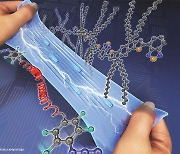 늘이고 접고 비틀어도 성능 그대로… ‘휘어지는 반도체’ 혁신[Science]