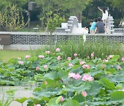 우리문화연구원, 15~16일 덕진공원서 '2023 연꽃문화제' 개최