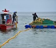 동해안 잇단 상어 출몰…속초시 모든 해수욕장에 '차단 그물망' 설치