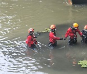 “실종자를 찾아라”