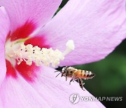 바쁘다 바빠