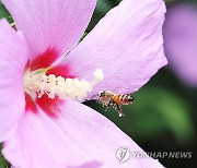 바쁘다 바빠