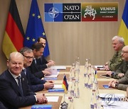 Lithuania NATO Summit