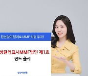 삼성자산운용, 삼성달러표시MMF법인제1호 펀드 출시