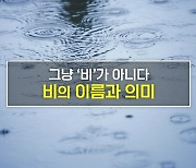 [짤막상식] 그냥 '비'가 아니다 비의 이름과 의미