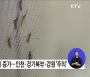 말라리아 매개모기 증가, 방역 강화와 신속한 진단 필요!