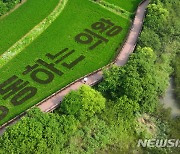 “아름다운 농촌 구경하러 오세요" 의왕시, ‘벼 아트’·연꽃 장관