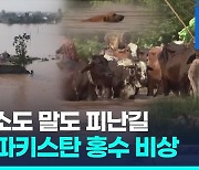 [영상] 개도 소도 말도 피난길…인도·파키스탄 홍수 비상