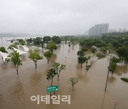 [포토]'한강 수위 상승'