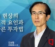 [논단]엔저 현상의 구조적 요인과 올바른 투자법