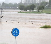 [속보] 대전 갑천 원촌교 지점 홍수경보