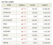 [fnRASSI]장마감, 거래소 상승 종목(이수페타시스 17.9% ↑)