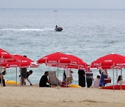 경포해수욕장 '명품해변' 조성 위해 호객행위 근절