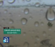 [특보] CCTV로 보는 이 시각 호우 상황