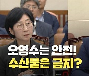 [현장영상] “오염수, 안전 기준 부합” “안전한데 수산물은 왜 수입금지?…선택적 과학?”