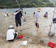 [바캉스 특집-경남 하동군] 섬진강서 재첩 잡고 더위 날려…20만 그루 편백숲서 글램핑도