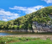 CHA aims to enshrine petroglyphs of Ulsan Bangucheon as UNESCO World Heritage Site