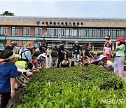 도심 속 자연 체험…서울시, '여름철 어린이 자연학교' 모집