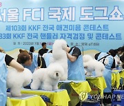 2023 서울 FCI 국제 도그쇼