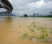 물에 잠긴 세종시 금강 둔치