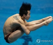 Japan Swimming Worlds