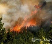 Canada Wildfires Smokejumpers Explainer