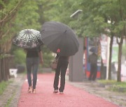 충청·남부지방 호우 계속...내일까지 최대 250mm 더 온다