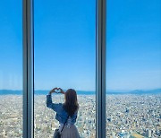 부산의 평범한 회사원, 15만 팔로워 인플루언서가 되다[정양환의 요즘 (젊은) 것들]