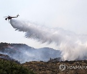 California Wildfires