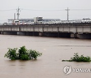 청주 쌍청교 수위 아슬아슬