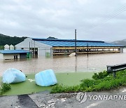 폭우로 물에 잠긴 청양 우사