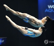 Japan Swimming Worlds