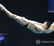 Japan Swimming Worlds