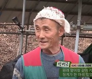 산사태로 ‘나는 자연인이다’ 주인공 실종…아내는 사망