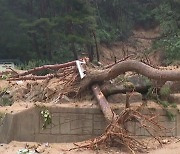 [인터뷰] "산사태, 취약지역보다 개발된 지역서 발생할 가능성 높아"