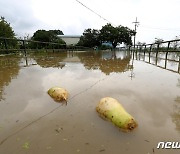 논산천 제방 무너져…마을 향하는 다리까지 침수